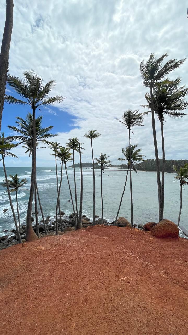 Description of image